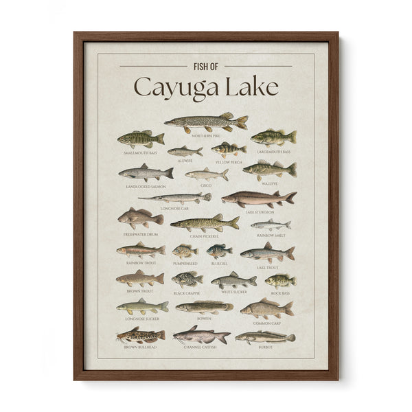 Cayuga Lake Print