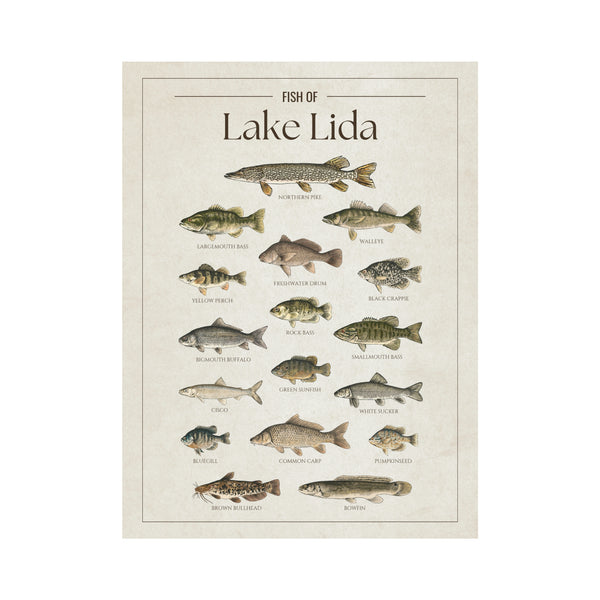 Lake Lida Print