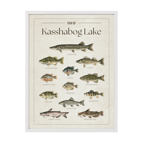 Kasshabog Lake Print