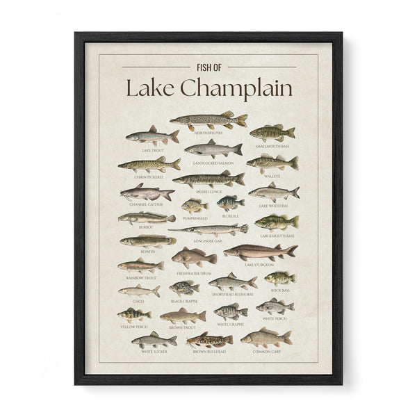 Lake Champlain Print