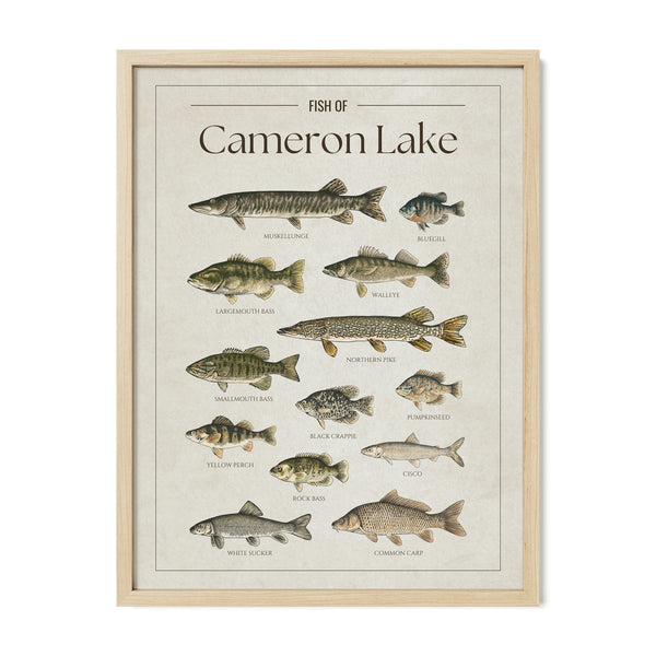 Cameron Lake Print