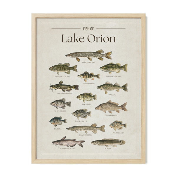 Lake Orion Print