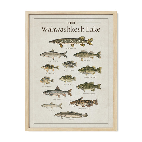 Wahwashkesh Lake Print