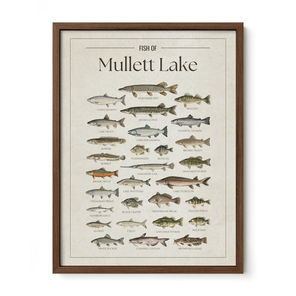 Mullett Lake Print