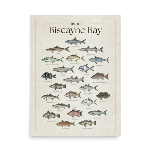 Biscayne Bay Print