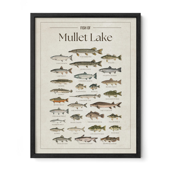 Mullet Lake Print