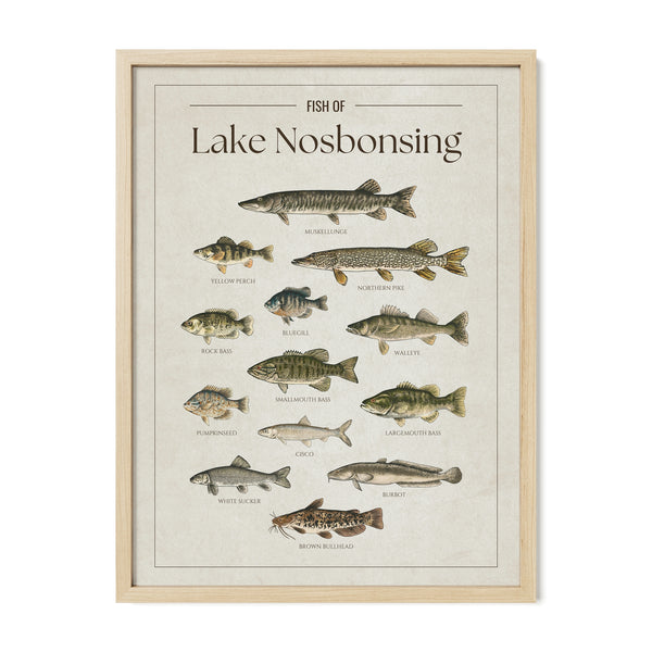Lake Nosbonsing Print