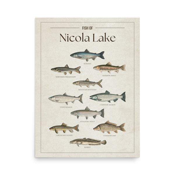 Nicola Lake Print