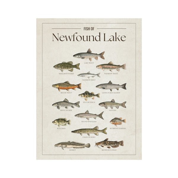 Newfound Lake Print