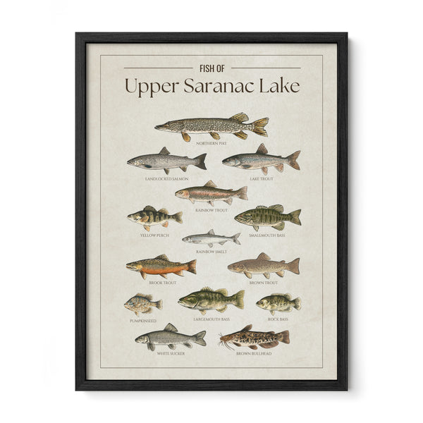 Upper Saranac Lake Print