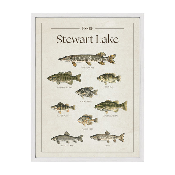 Stewart Lake Print