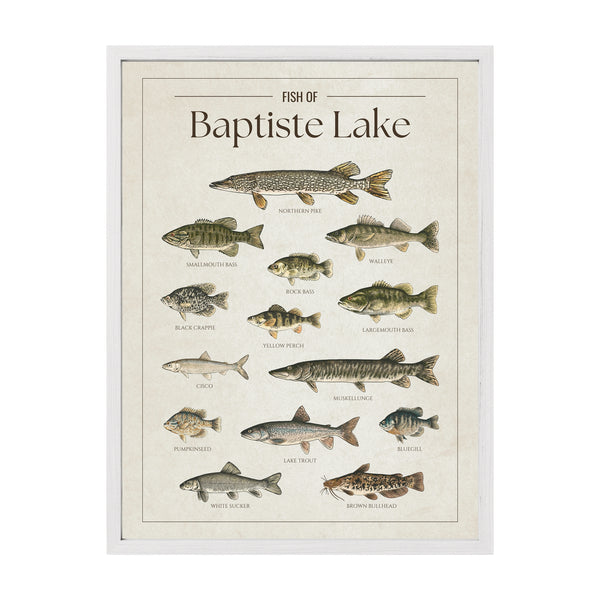 Baptiste Lake Print