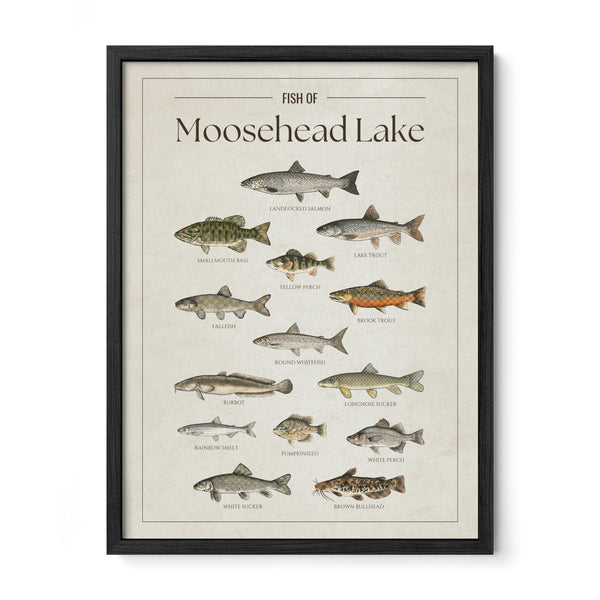 Moosehead Lake Print