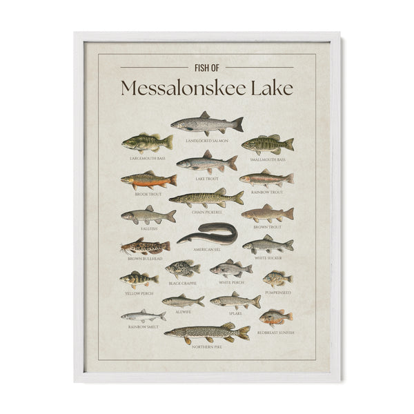 Messalonskee Lake Print