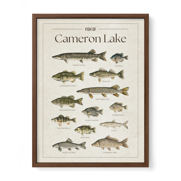 Cameron Lake Print