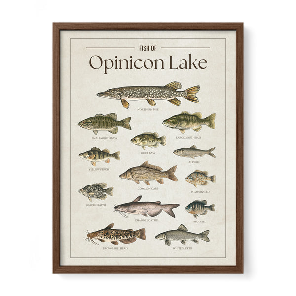 Opinicon Lake Print