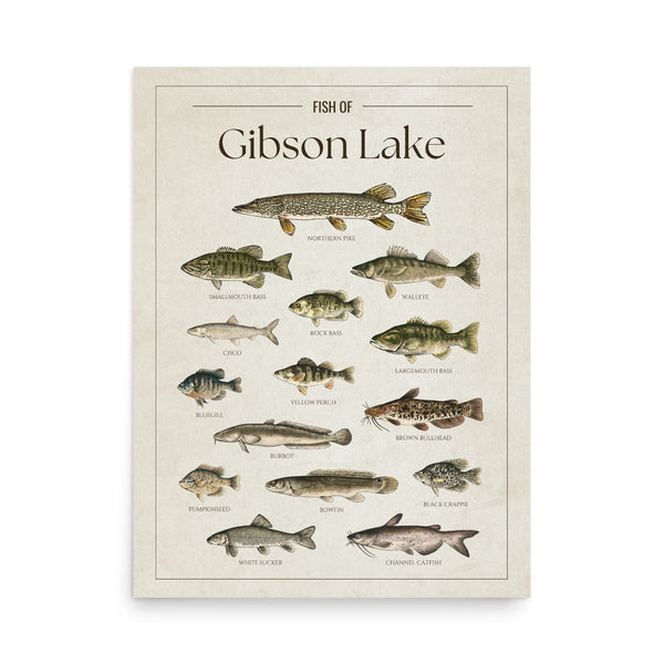 Gibson Lake Print