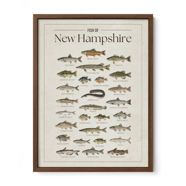 New Hampshire Print