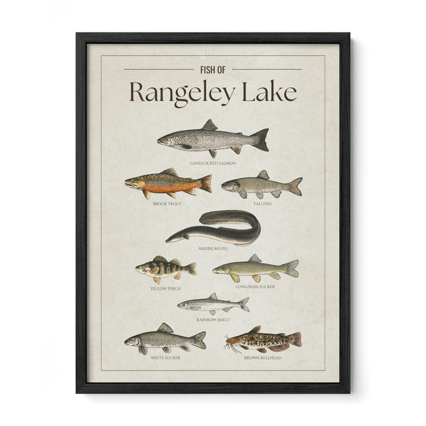 Rangeley Lake Print