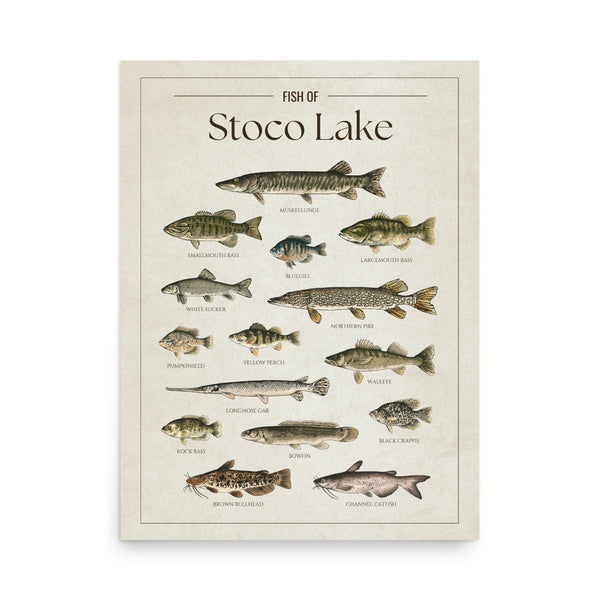 Stoco Lake Print