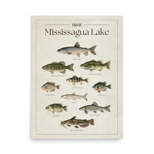 Mississagua Lake Print