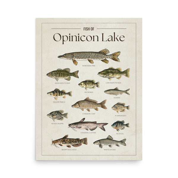 Opinicon Lake Print