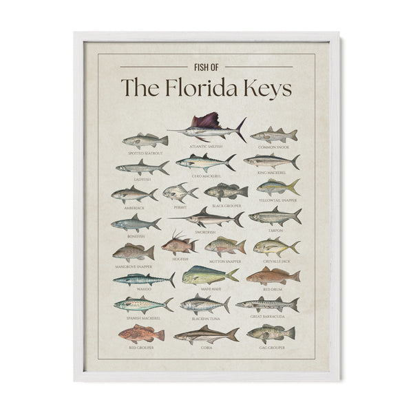 The Florida Keys Print