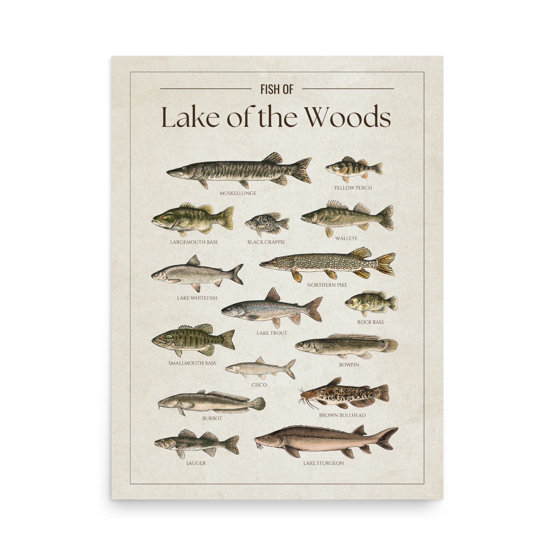 freshwater tackle box checklist lake of the woods Lake of the Woods Print – Fish Prints