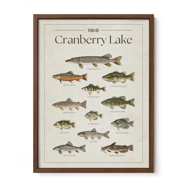 Cranberry Lake Print