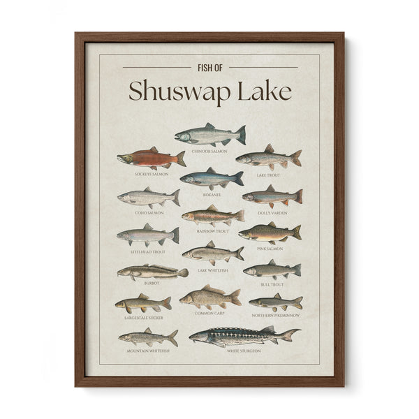 Shuswap Lake Print
