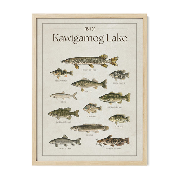 Kawigamog Lake Print