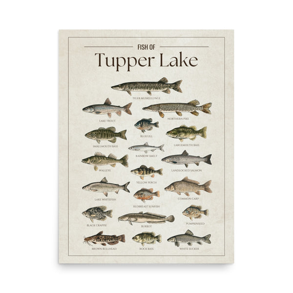 Tupper Lake Print