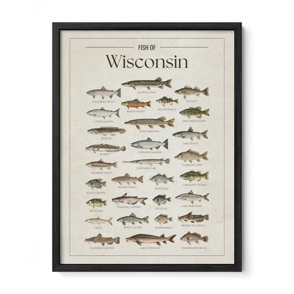 Wisconsin Print