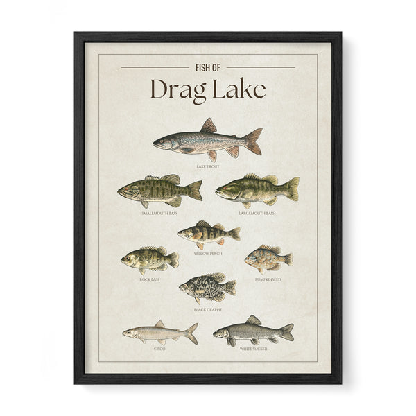 Drag Lake Print