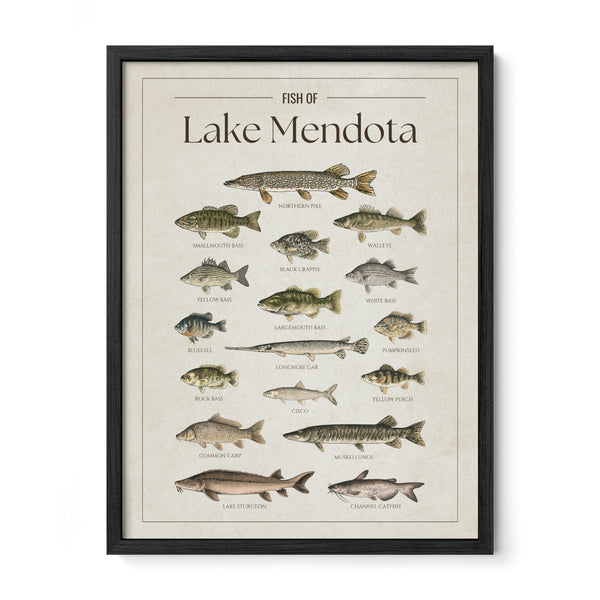 Lake Mendota Print