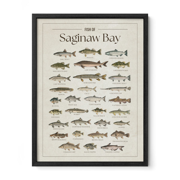 Saginaw Bay Print