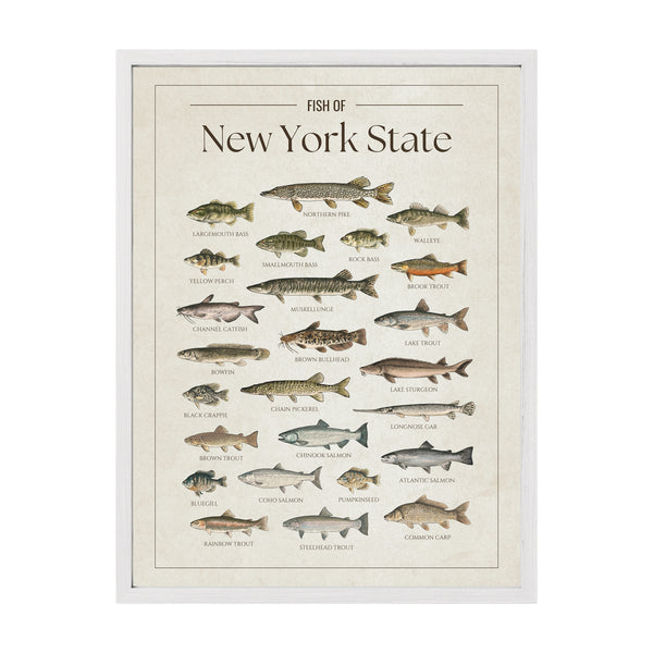 New York State Print