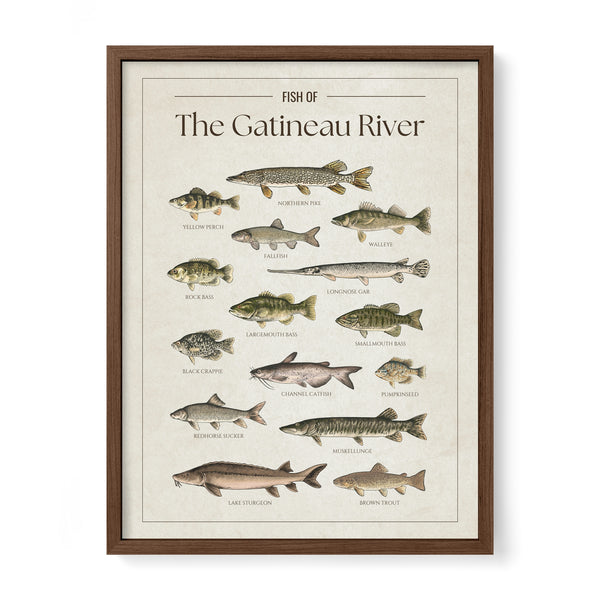 The Gatineau River Print