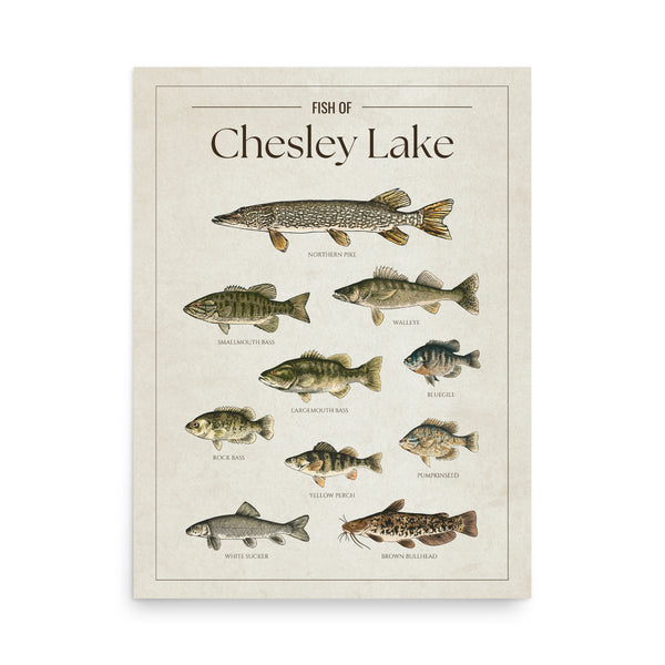 Chesley Lake Print