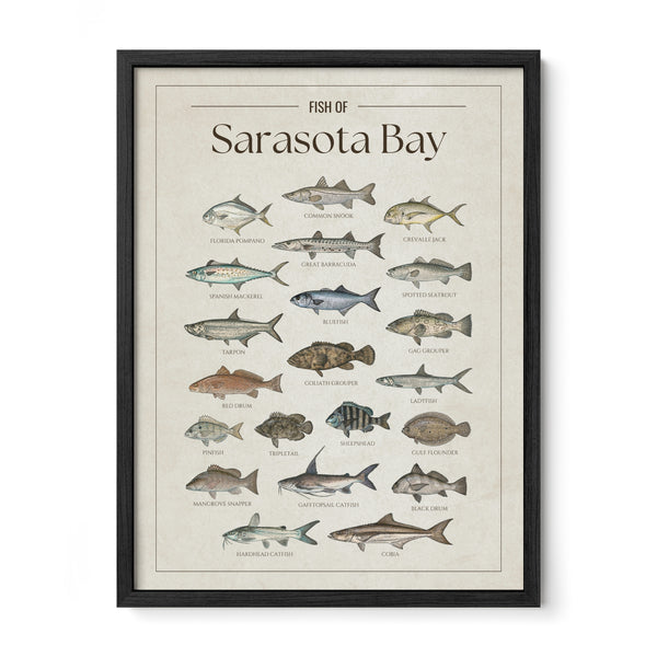 Sarasota Bay Print