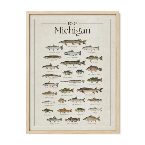 Michigan Print