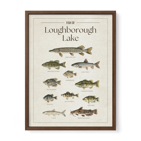 Loughborough Lake Print