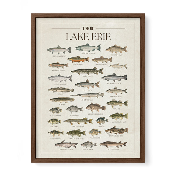 Lake Erie Print