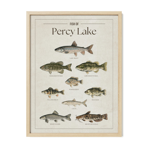Percy Lake Print