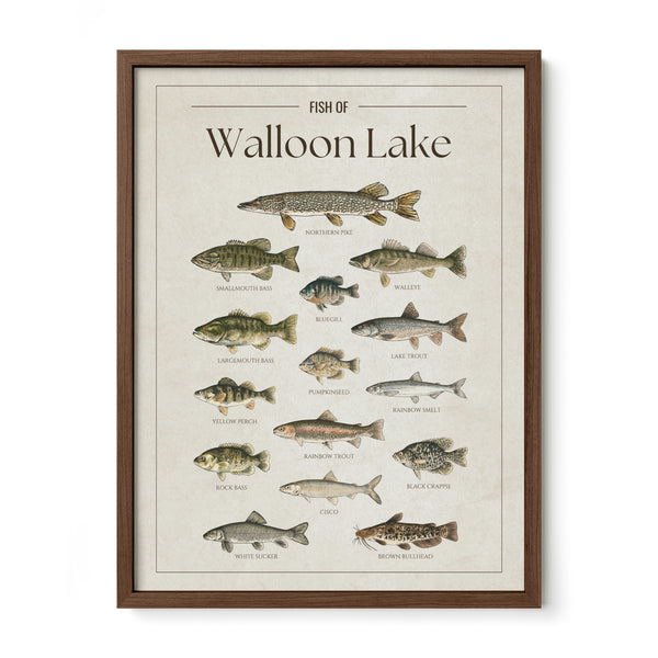 Walloon Lake Print