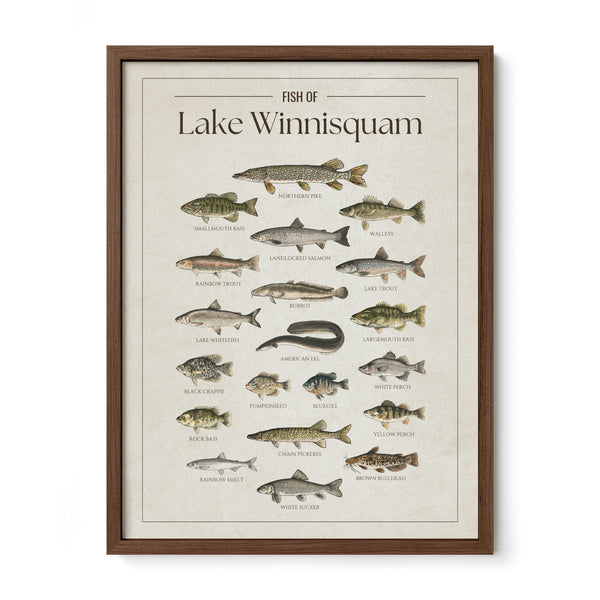 Lake Winnisquam Print