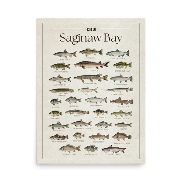 Saginaw Bay Print