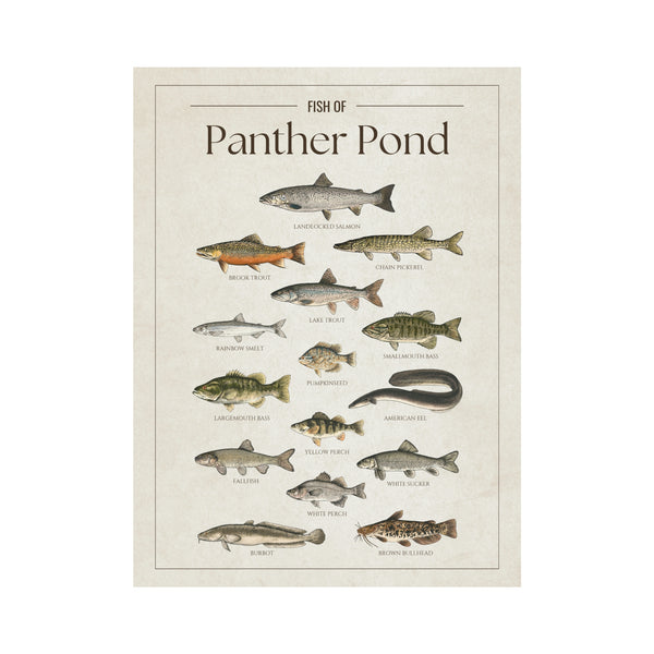 Panther Pond Print
