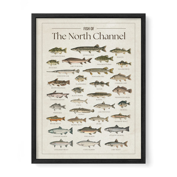 North Channel Print