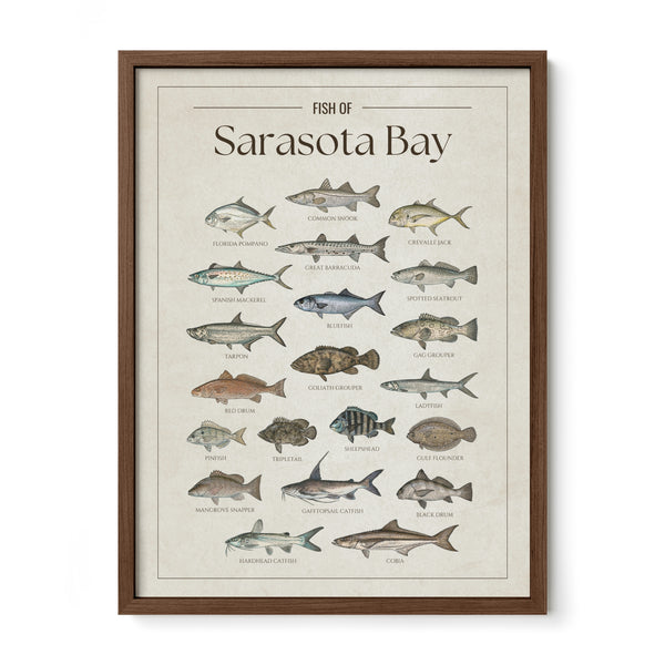 Sarasota Bay Print